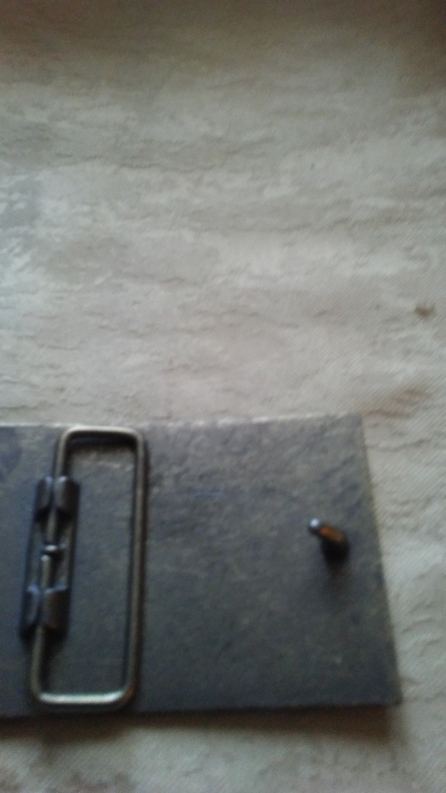 BELT BUCKLE RISE OF THE SPIRIT OF INDEPENDENCE  3