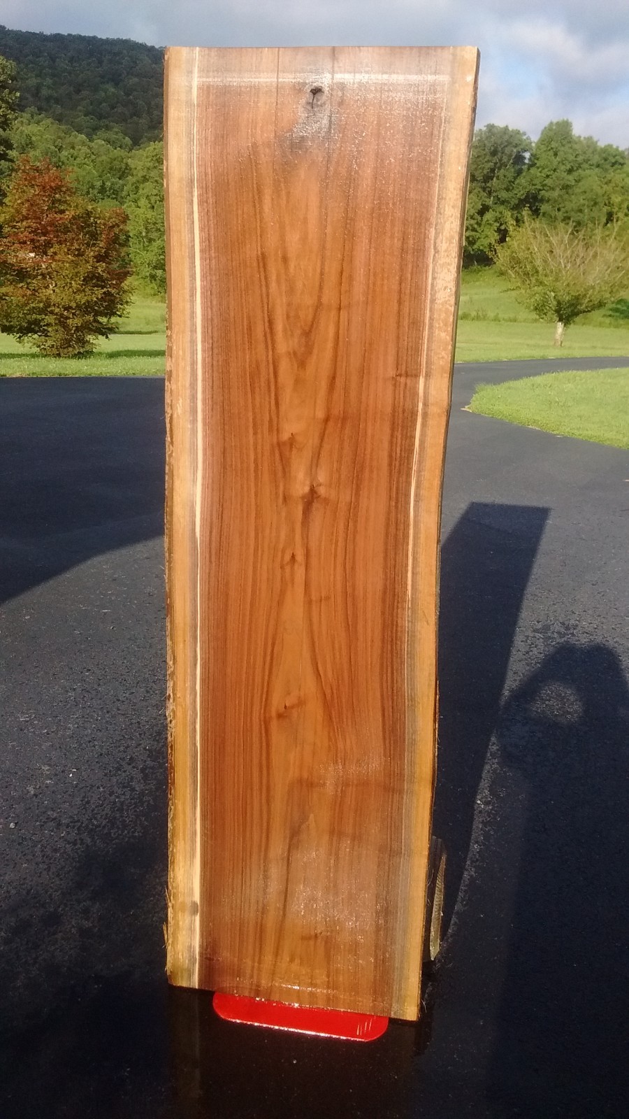 LIVE EDGE BLACK WALNUT SLAB/TABLE TOP  #110