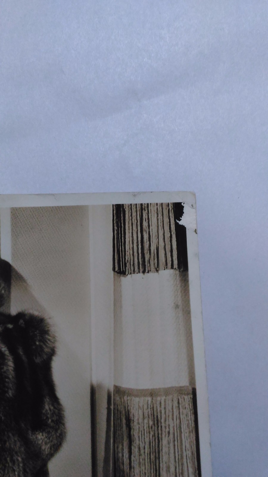 Oversized Joan Crawford still w/ WW II infantry stamp on back