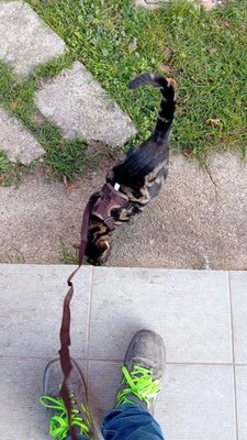 Foto dell'oggetto di un acquirente verificato