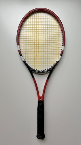 BabolaT PURE CONTROL ZYLON とプラスの2本セット Babolat Pure Control | eBay