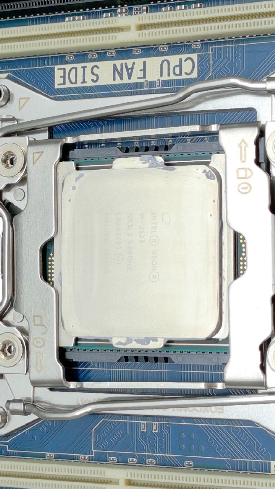 Picture 3