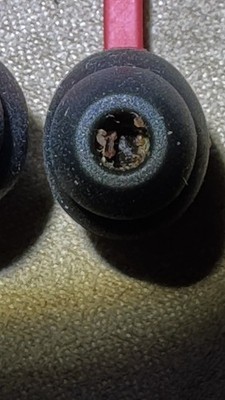 Artikelfoto(s) von einem verifizierten Käufer