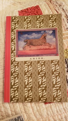 Zodiac ARIES Graph Notebook 8-1/4''×5-1/2'' Stewart Tabori & Chang 1997