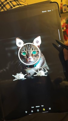 Foto dell'oggetto di un acquirente verificato