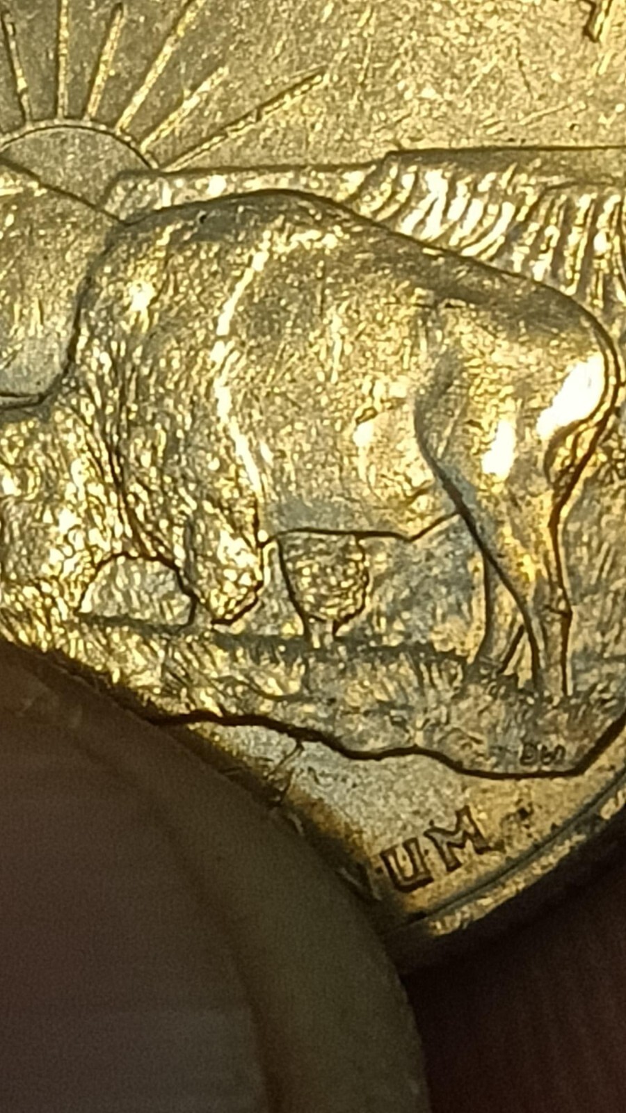2006 D N Dakota State Quarter Error !!!!!! 5 Legged Buffalo