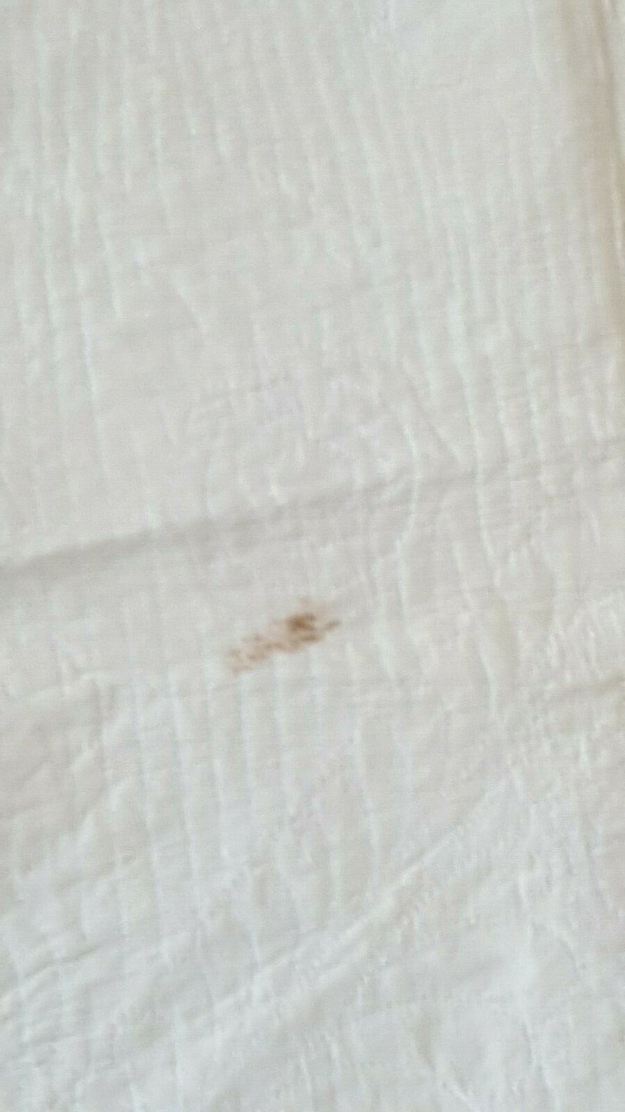 Antique Rose of Sharon Quilt