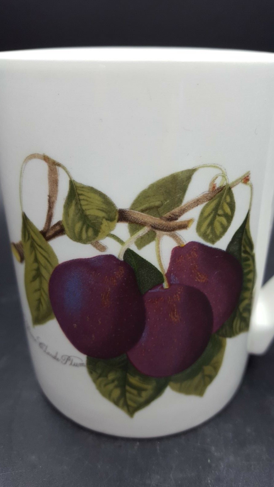 Portmeirion Pomona Coffee Mug 