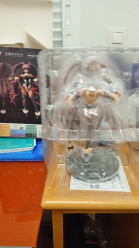 ユキ Taimanin Yukikaze Yukikaze Mizuki Regular Edition 1/6 Scale