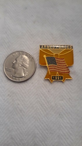 US Armed Forces Desert Storm Pin / 1991 / Clutchback