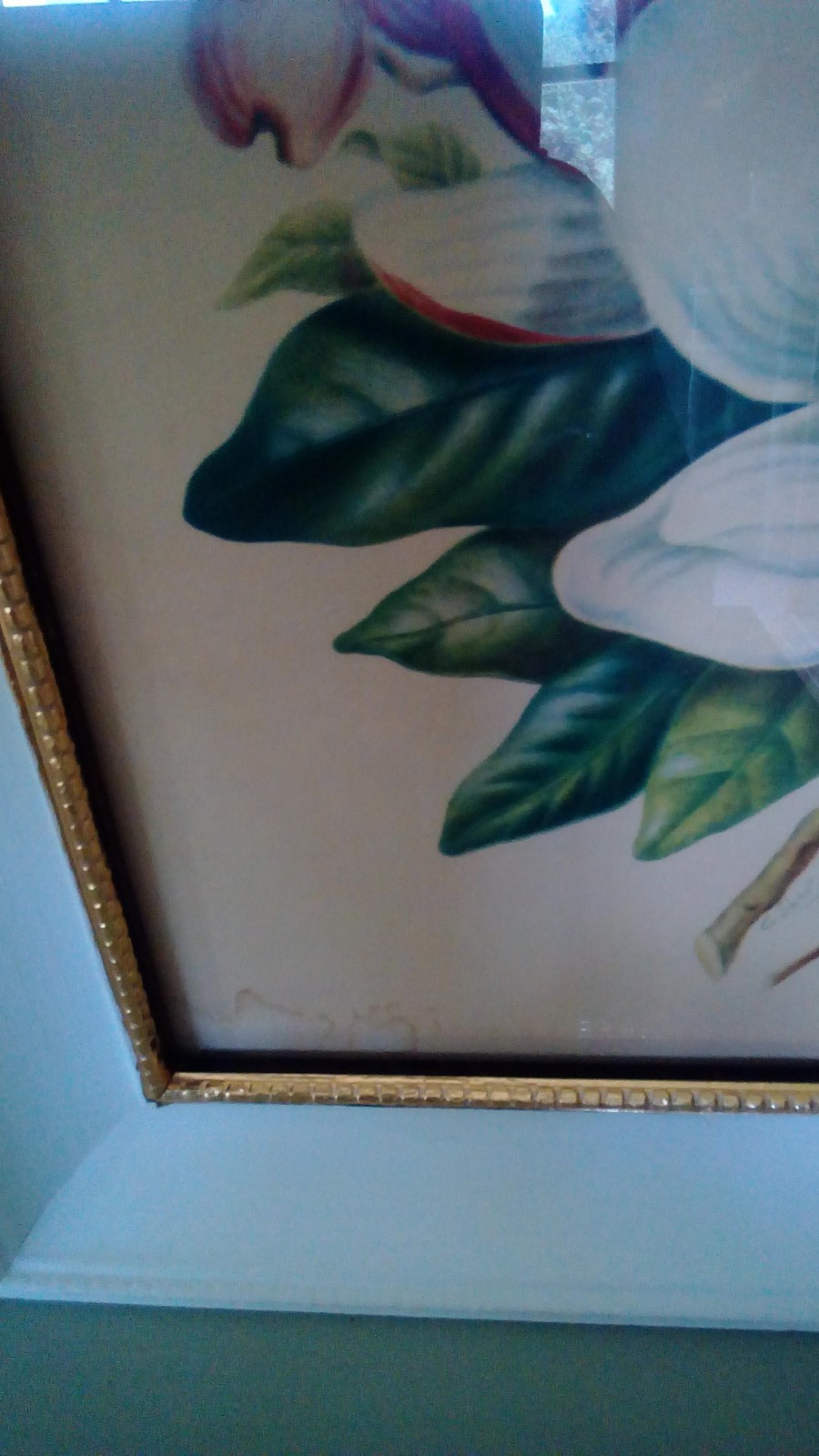 Vintage Shabby Chic Pictures