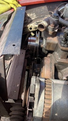 Fotos del artículo de un comprador verificado