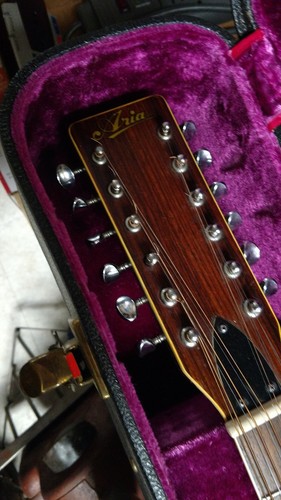 Aria  Acoustic Guitar   12-String