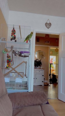 Artikelfoto(s) von einem verifizierten Käufer