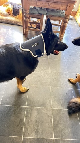 Artikelfoto(s) von einem verifizierten Käufer
