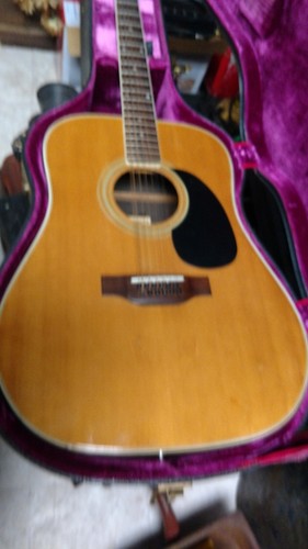 Aria  Acoustic Guitar   12-String