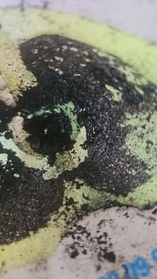 Artikelfoto(s) von einem verifizierten Käufer