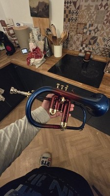 Foto dell'oggetto di un acquirente verificato