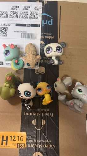 Item photo(s) from verified buyer