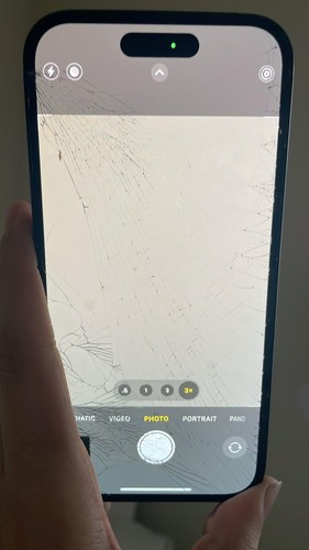 Photos de l'objet d'un acheteur vérifié