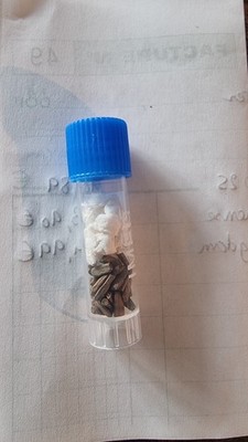 經驗證買家提供的物品圖片
