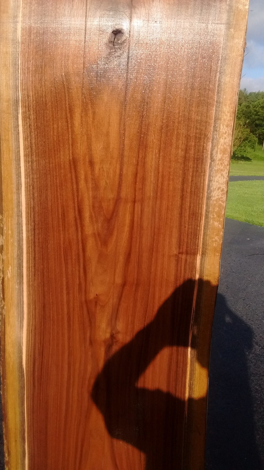 LIVE EDGE BLACK WALNUT SLAB/TABLE TOP  #110