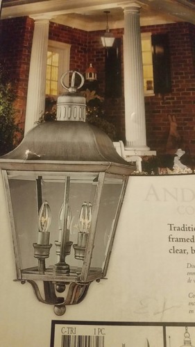 Progress Lighting Andover Collection Outdoor Hanging Light Silver New P5587-44
