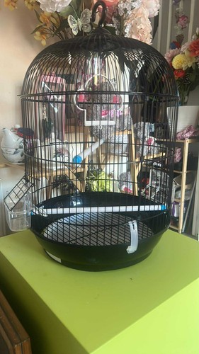 Artikelfoto(s) von einem verifizierten Käufer