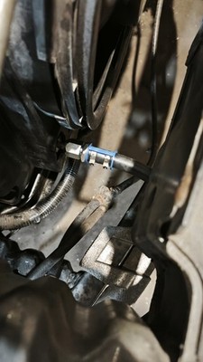 Artikelfoto(s) von einem verifizierten Käufer