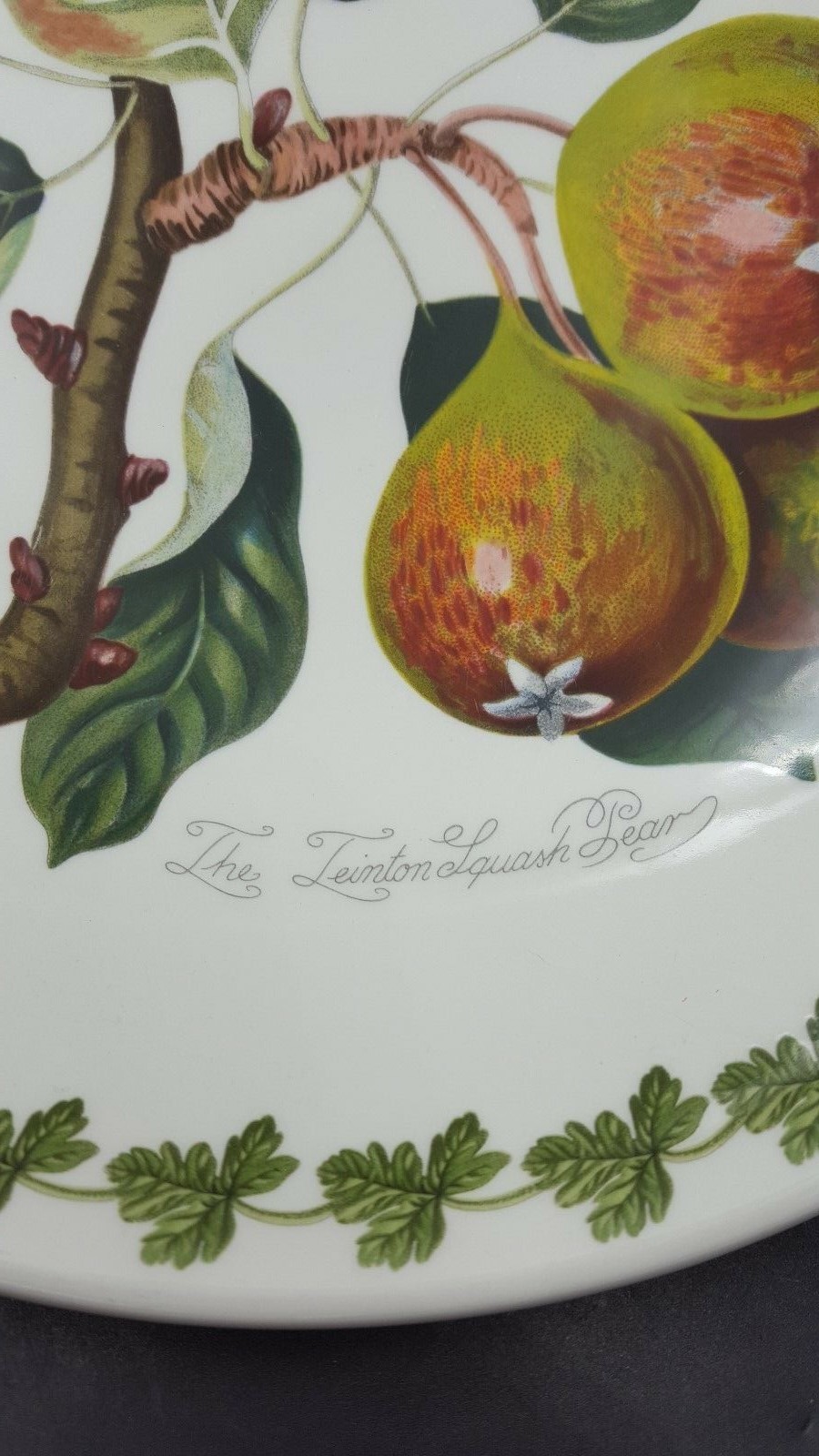 Portmeirion Pomoma Teinton Sqaush Pear 10 1/4