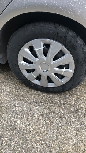 Fotos del artículo de un comprador verificado