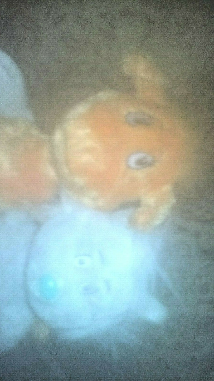 Dr. Seuss, If I ran the zoo and The big foot orange animal. Kohl's care.