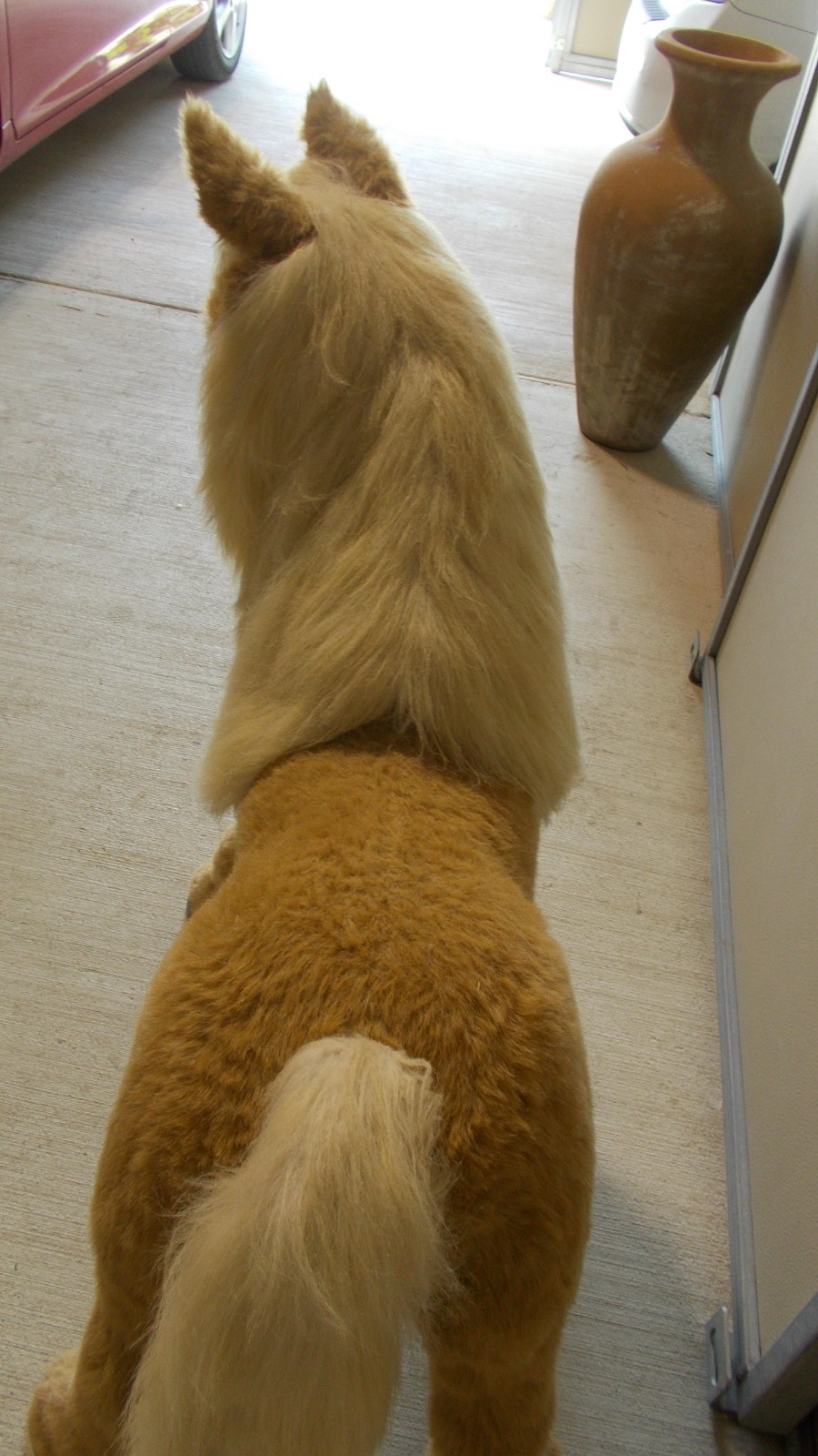 Hasbro FurReal Friends Butterscotch Interactive Life Size Pony Horse Working