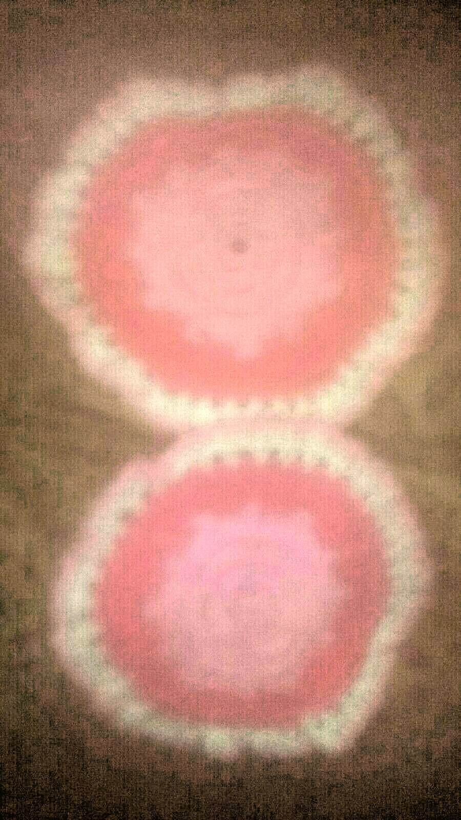 MIXED LOT OF 5 HAND CROCHETED POTHOLDERS