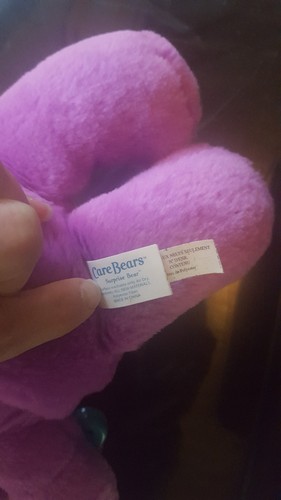 CARE BEAR INTERACTIVE HIDE AND SEEK 12