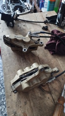 Fotos del artículo de un comprador verificado