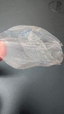 Photos de l'objet d'un acheteur vérifié