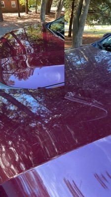 Artikelfoto(s) von einem verifizierten Käufer