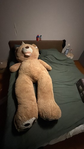 Artikelfoto(s) von einem verifizierten Käufer