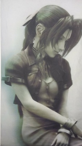 FINAL FANTASY? Video Game ADVERTISING Color Fabric Poster Banner ANIME? MANGA?