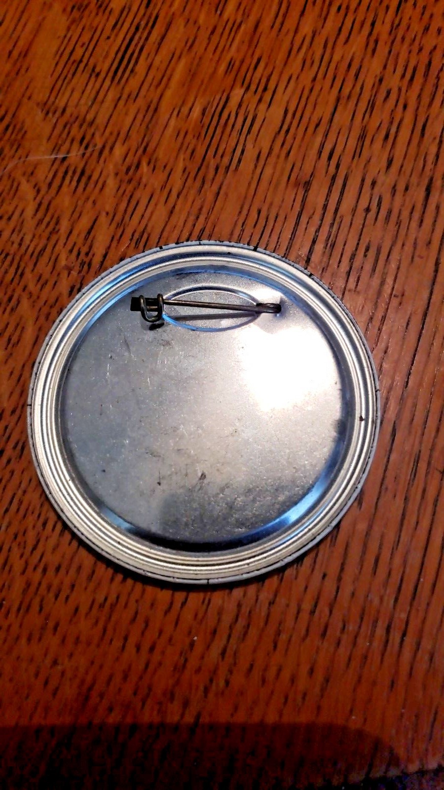 1956 PALOMINO, WATER FOLLIES SHOWS, MINNESOTA DERBY DAYS  PINBACK