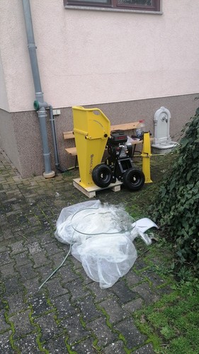 Artikelfoto(s) von einem verifizierten Käufer
