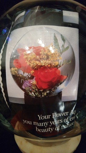 Beautiful Large Round Flower Decoration Aquarium