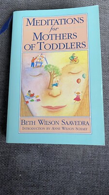 Meditations for Mothers of Toddlers by Beth Wilson Saavedra (1994, Trade...
