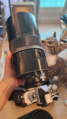 Photos de l'objet d'un acheteur vérifié