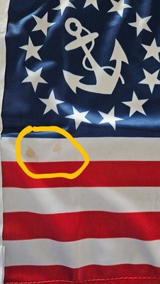 Artikelfoto(s) von einem verifizierten Käufer
