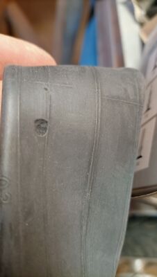 Artikelfoto(s) von einem verifizierten Käufer