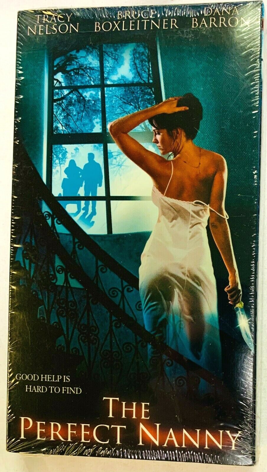 Perfect Nanny, The (VHS,2001) Mystery Thriller Psycho Sexy
