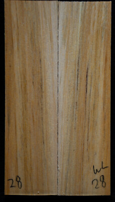 Willow #28 Knife Scales 5''x1.3''x 7/16''see 100 woods in my store