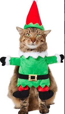 Chewy Frisco Elf Front Walking Medium Dog Cat Costume